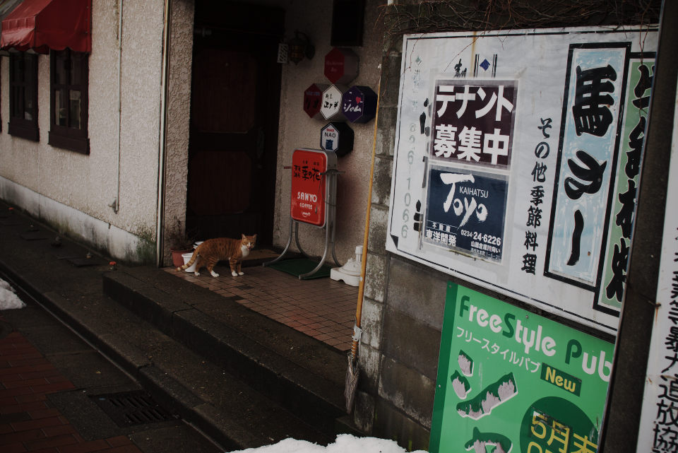 とりあるきびと 酒田 ５ Photo Mode