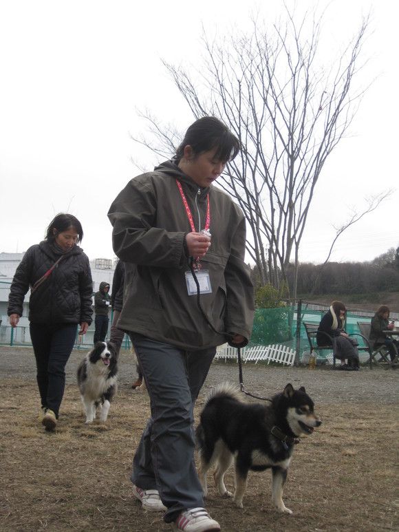 f0230380_36036.jpg