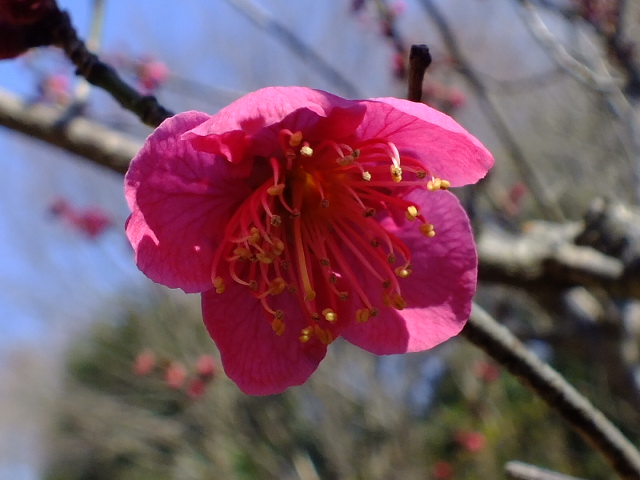 ２月２０日　長尾の里めぐり_e0145782_17494765.jpg