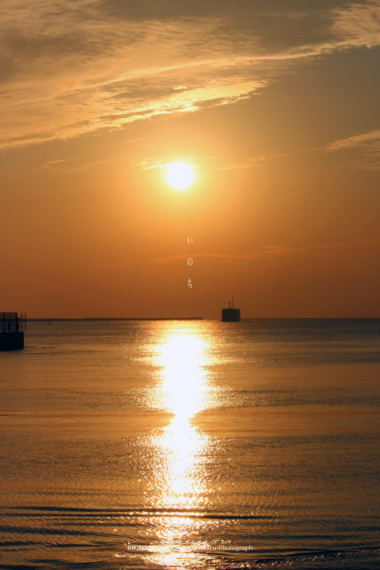 f0221382_53506.jpg
