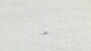 a0146493_20253348.png
