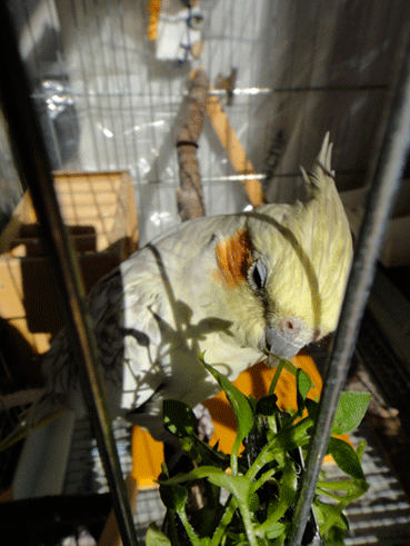 b0240299_16212824.gif