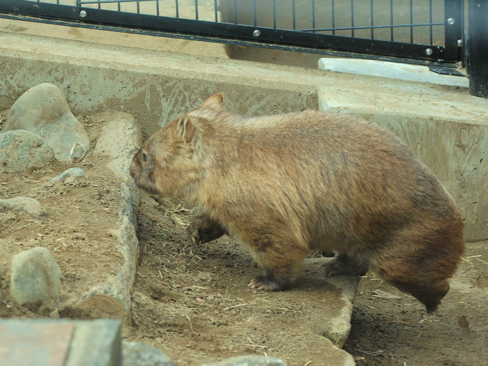 a0164204_115385.jpg