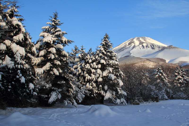 樹氷の水が塚_a0188405_16223058.jpg