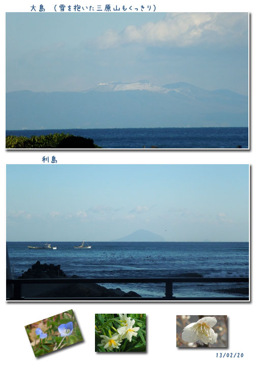 河津桜と万葉の小径をウォーキング(1)_c0051105_23342083.jpg