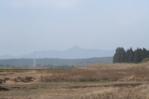 d0230507_9114810.jpg