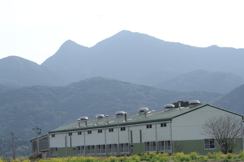 d0230507_9122336.jpg