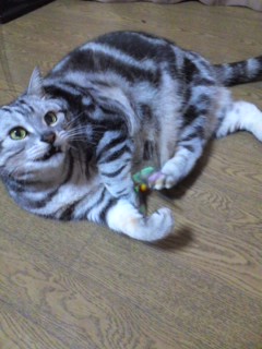 b0274908_11343036.jpg