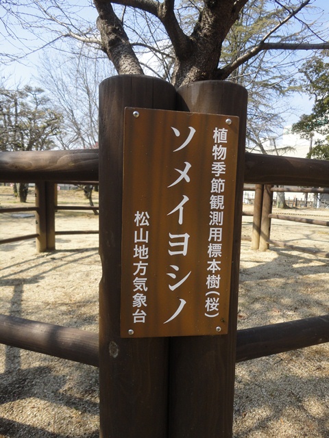 　愛媛・松山の道後公園　の紅白梅と《 湯築城跡 》…２０１３・２・２２_f0231709_221153.jpg