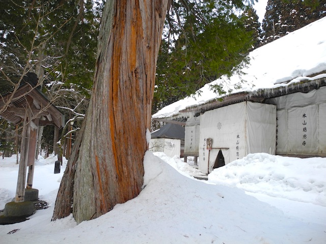 一人旅 Part.2 慈恩寺_c0248013_14555411.jpg