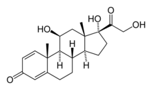 e0171614_1233448.png