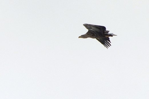 e0062415_1795514.jpg