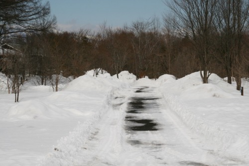 2月22日　道路・フィールド状況_b0174425_15221382.jpg