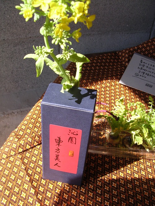 春の兆しと台湾と_e0295926_17122448.jpg