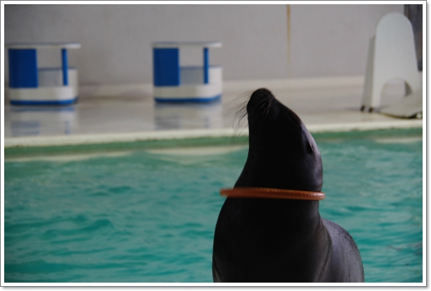 おたる水族館　\'13.02.20-03_f0218836_199231.jpg