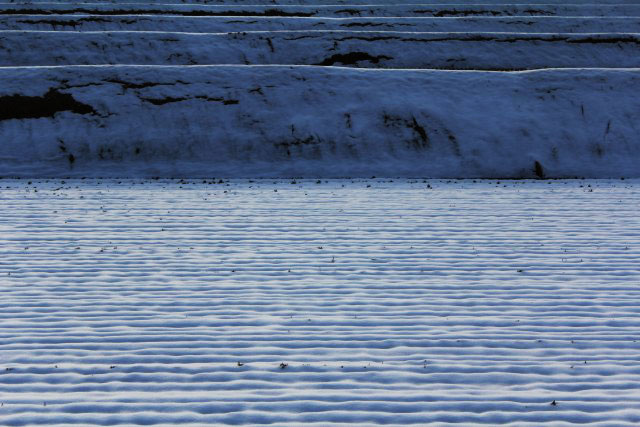b0132338_16513590.jpg