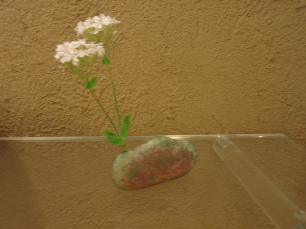 打田翠展のご案内_b0132442_19492535.jpg