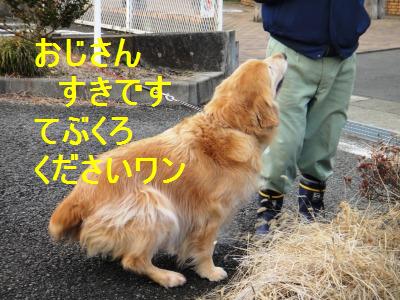 お友達とトコトコ_e0195743_14111464.jpg