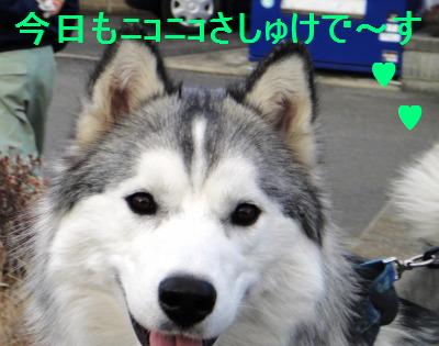 お友達とトコトコ_e0195743_14112884.jpg