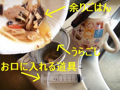 お友達とトコトコ_e0195743_1428222.jpg
