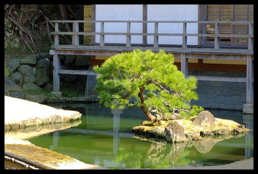 鎌倉　建長寺の風景_d0185744_1064625.jpg