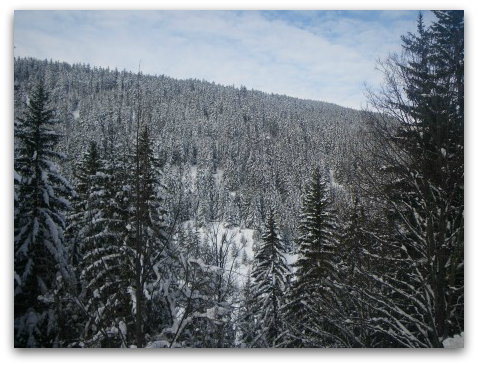 d0227344_22261376.png
