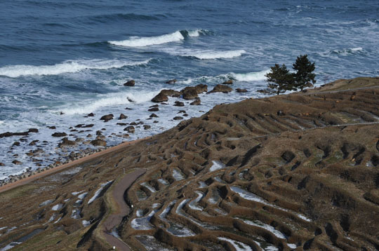 c0093046_17944.jpg