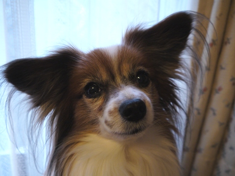 e0100046_0552479.jpg