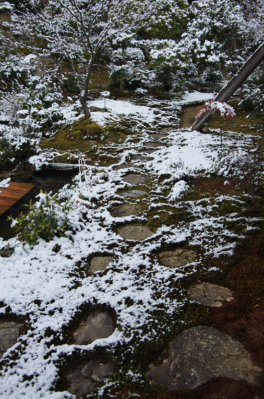 雪の実相院（岩倉実相院）_f0155048_072065.jpg
