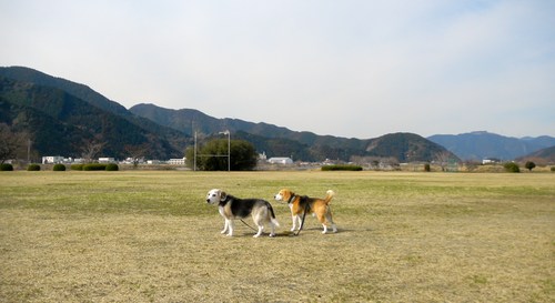 b0005652_2253737.jpg