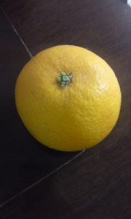 c0115560_15413928.jpg
