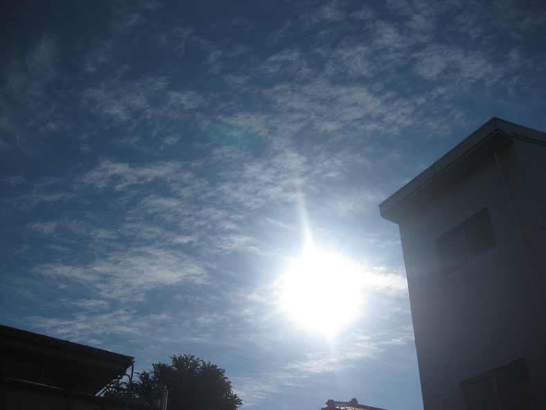 f0233661_11124632.jpg