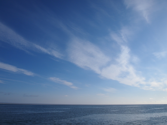 b0281366_2022288.jpg