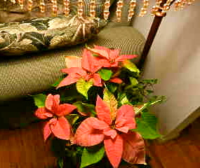 d0260278_13101658.jpg
