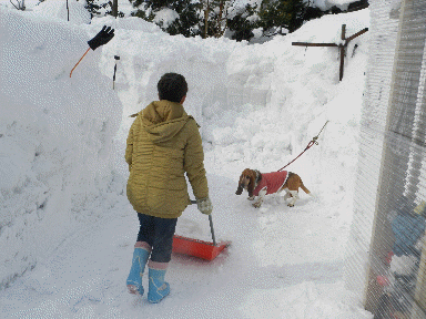 f0205887_15471710.gif
