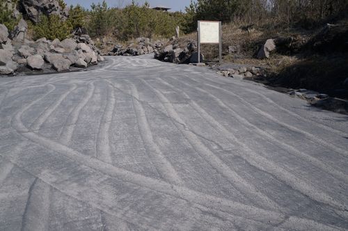 e0241093_822969.jpg