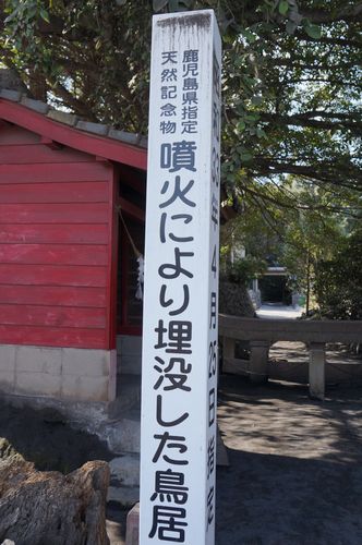 e0241093_8244966.jpg