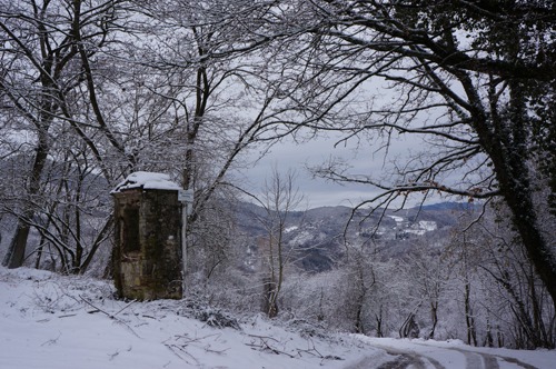 雪の森を一人で歩く_f0106597_00956.jpg