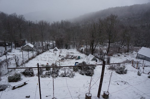 2月の雪と夏の計画_f0106597_3445441.jpg