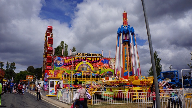 ***Royal Canberra Show 2013****_e0006999_21331464.jpg