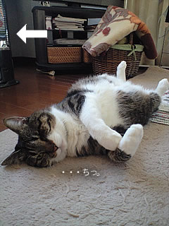 c0035001_1645442.jpg
