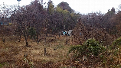 e0270403_21415722.jpg