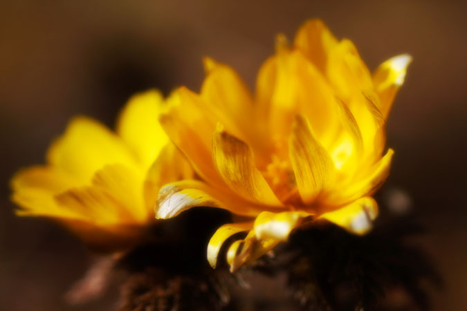 a0263109_1504425.jpg