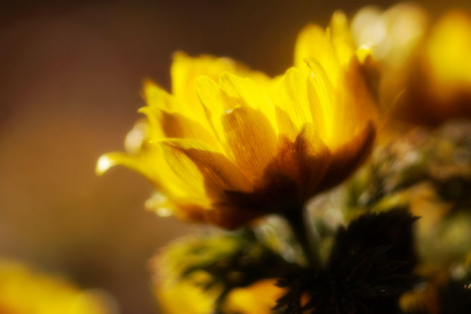 a0263109_1505876.jpg
