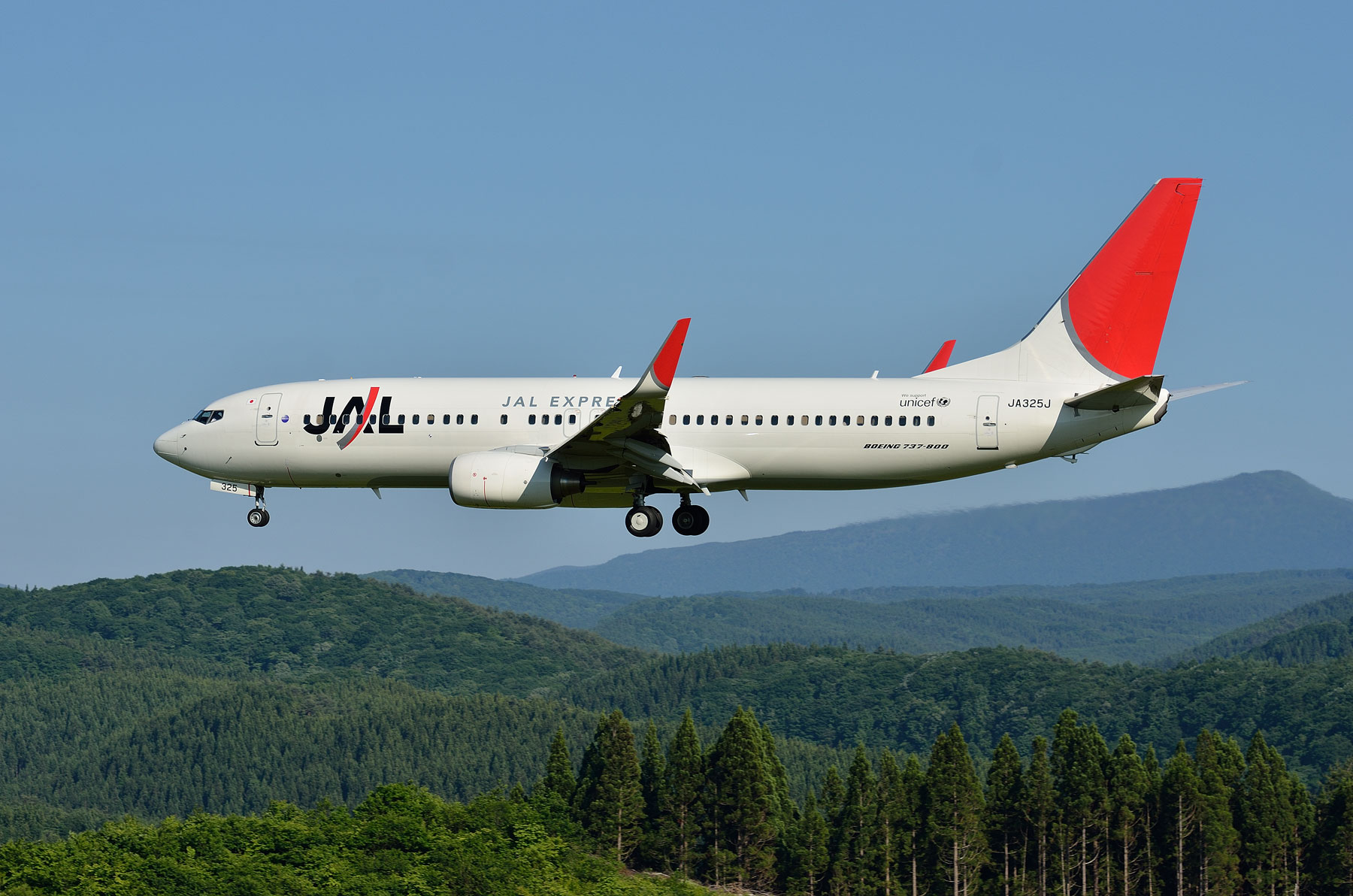 BOEING 737-800 / JA325J : SKY LOUNGE GARDEN -transporter side-