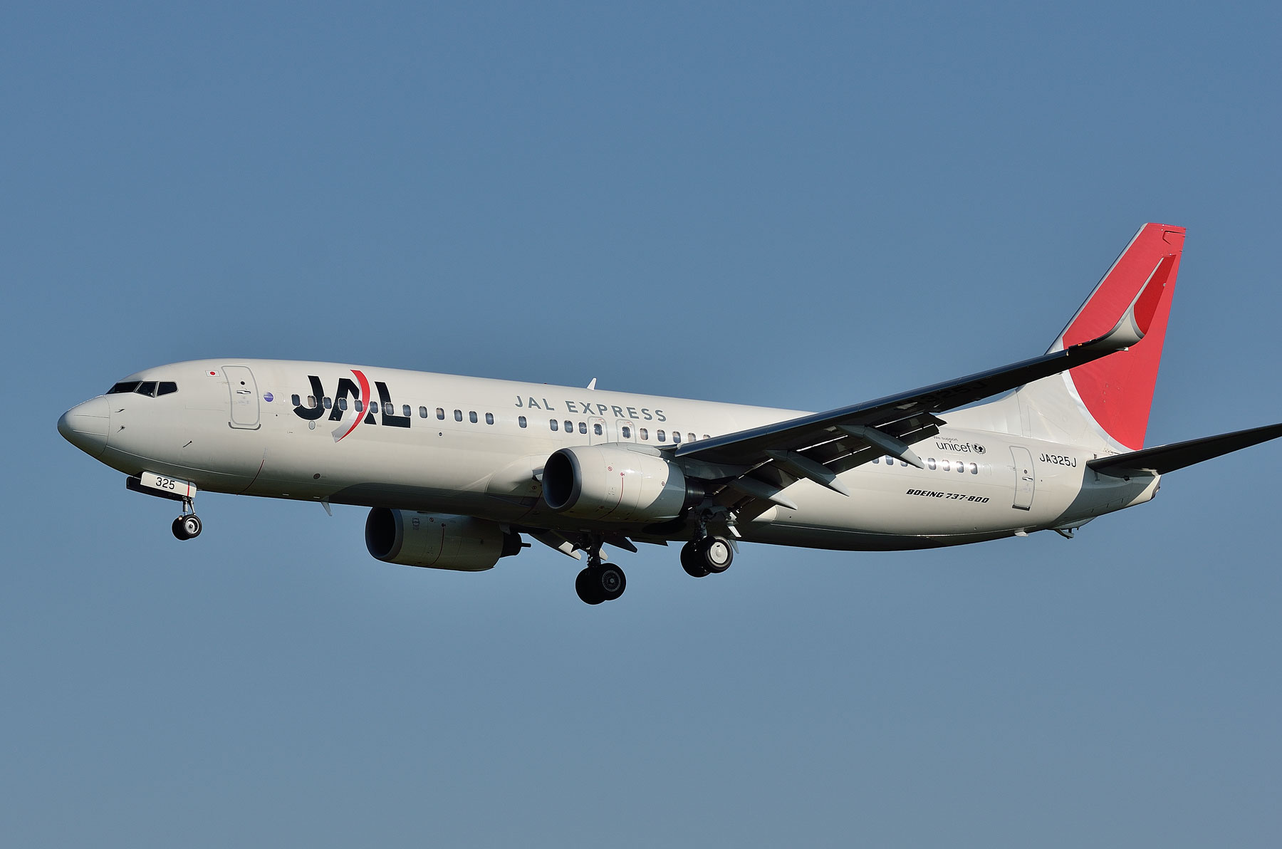 BOEING 737-800 / JA325J : SKY LOUNGE GARDEN -transporter side-
