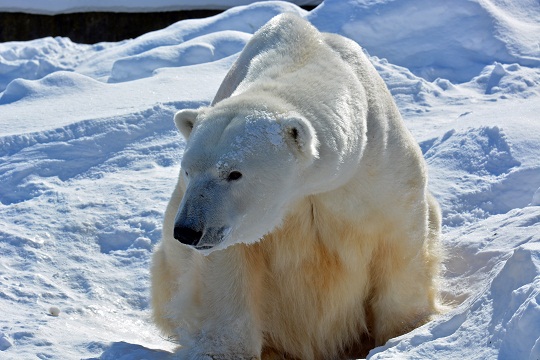 a0151913_20542868.jpg