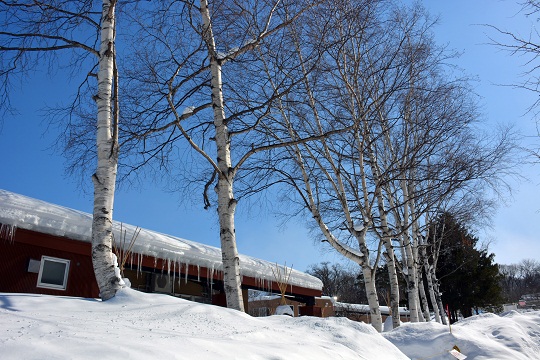 a0151913_20563491.jpg