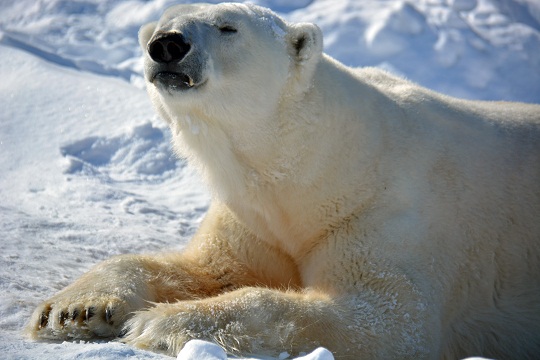 a0151913_2110654.jpg