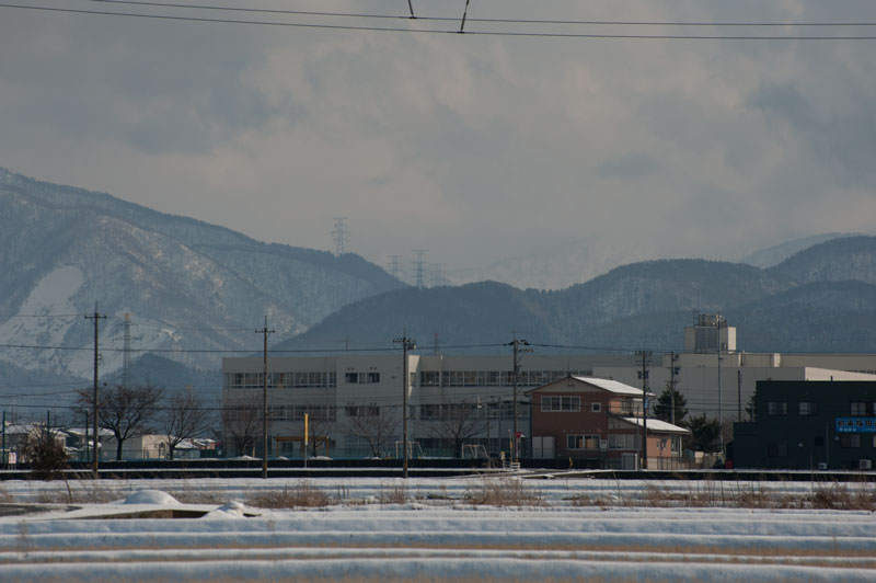 a0278914_521599.jpg